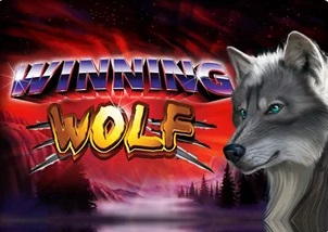 Winning Wolf